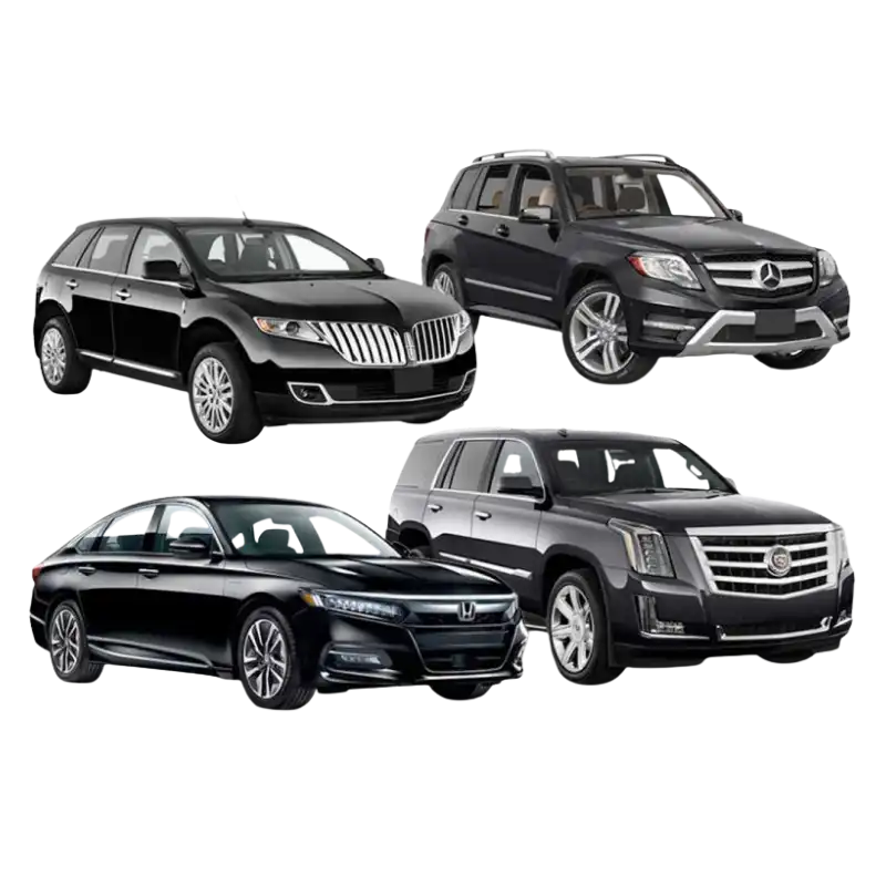 drive car to florida drivemycartoflorida.com